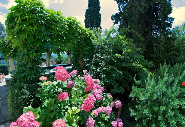 Villa Pedone: Extérieur, Jardin