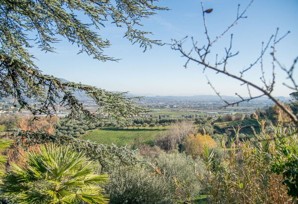 Villa Pedone: Extérieur