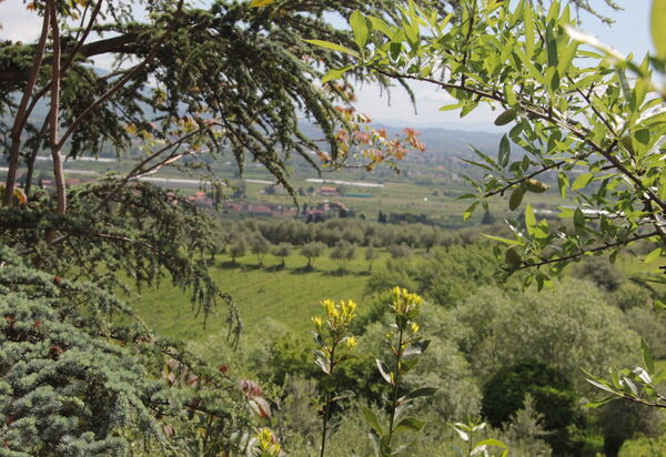 Villa Pedone: Extérieur, Vues