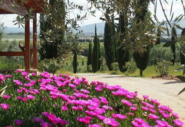 Villa Giulia Follonica