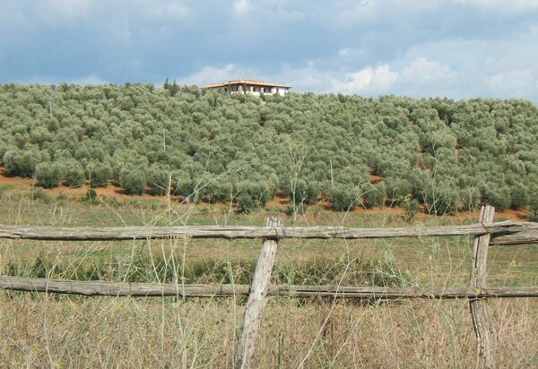 Villa Giulia Follonica