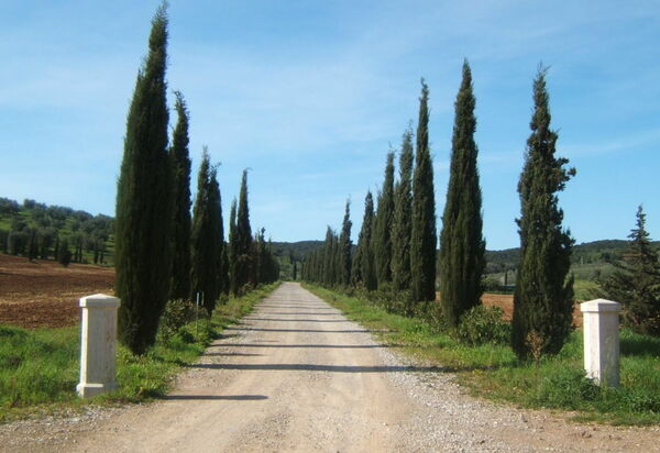 Villa Giulia Follonica