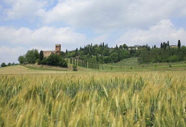Villa Buonaparte: Взгляды