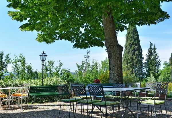 Villa Buonaparte: Сад