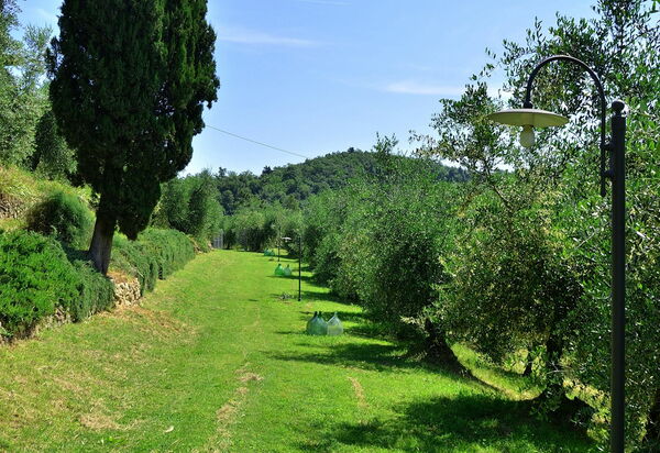 Villa Buonaparte: Сад