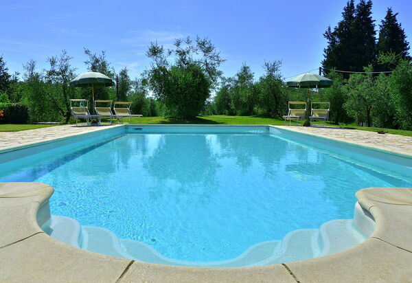 Villa Buonaparte: бассейн