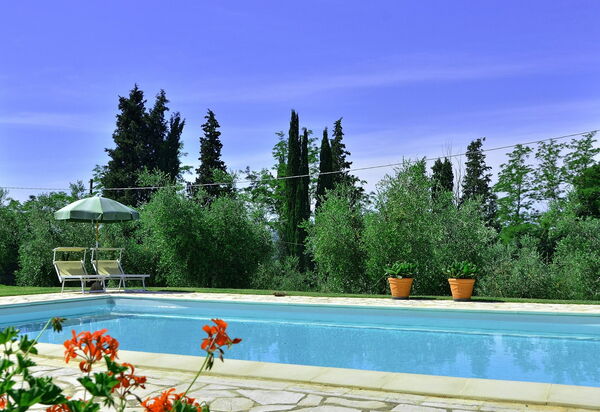 Villa Buonaparte: бассейн, Сад