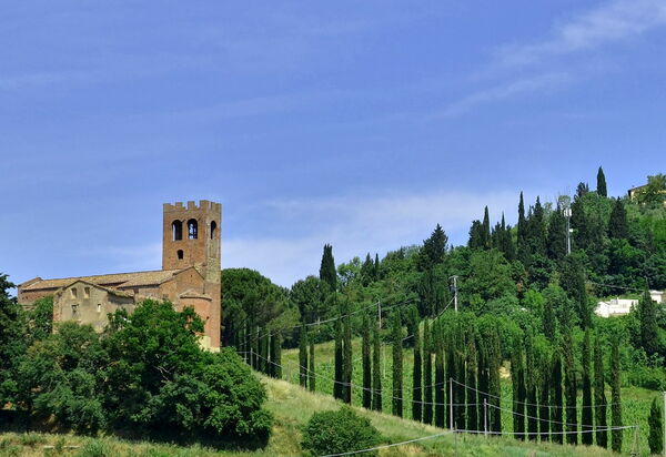 Villa Buonaparte: Сад