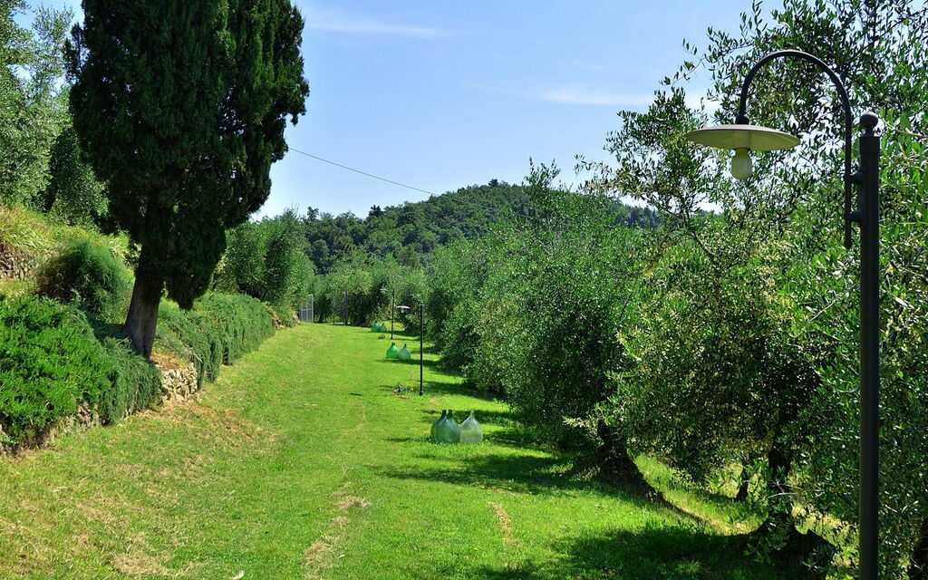 Villa Buonaparte: Сад