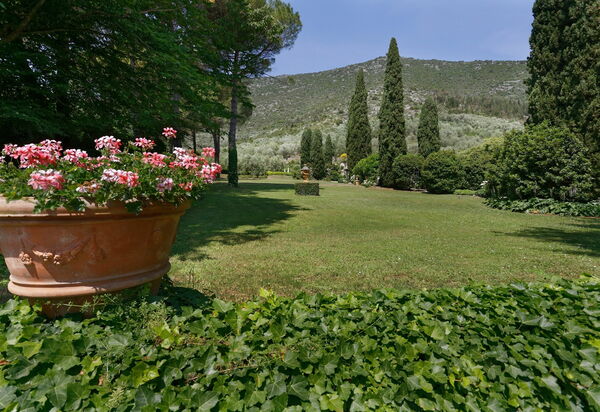 Villa De Ranieri: Jardin