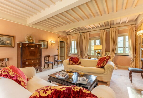 Villa De Ranieri: Salon