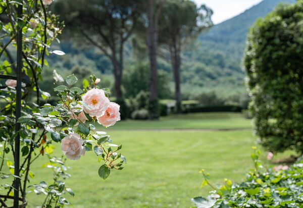 Villa De Ranieri: Extérieur, Jardin