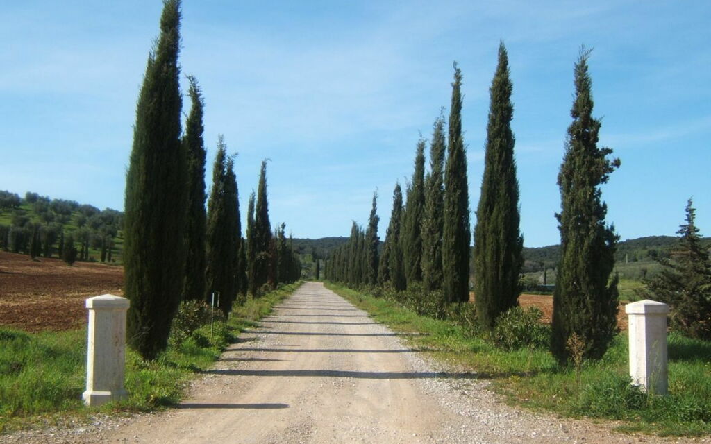 Villa Dei Cipressi: Hovedindgang, Udendørs, Udvendige