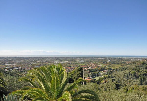 Villa Camaiore: Взгляды, Сад