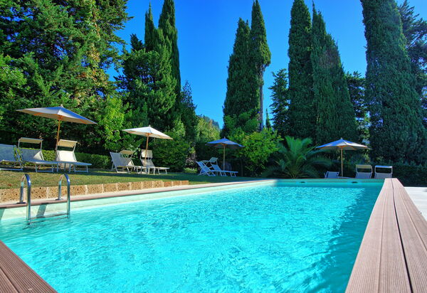 Villa Camaiore: бассейн, Сад