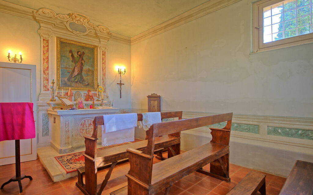 Villa Camaiore: Attività