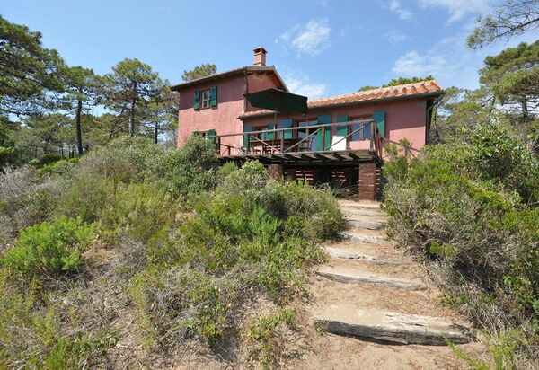 Casamare: Extérieur, Extérieurs, Jardin