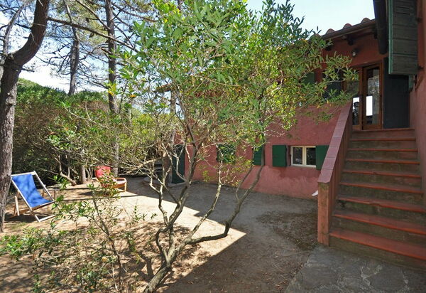 Casamare: Extérieur, Jardin