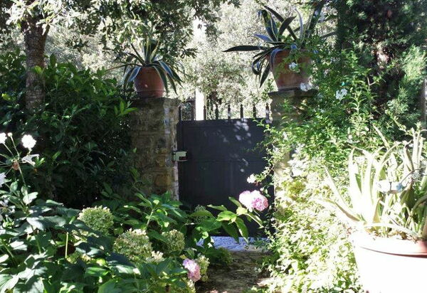 Villa Nova: Открытый, Экстерьеры