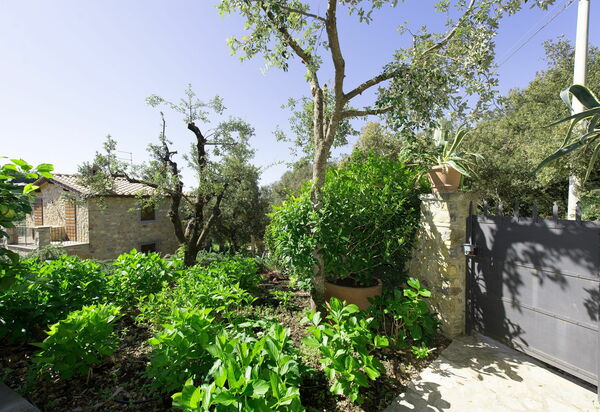 Villa Nova: Открытый, Экстерьеры