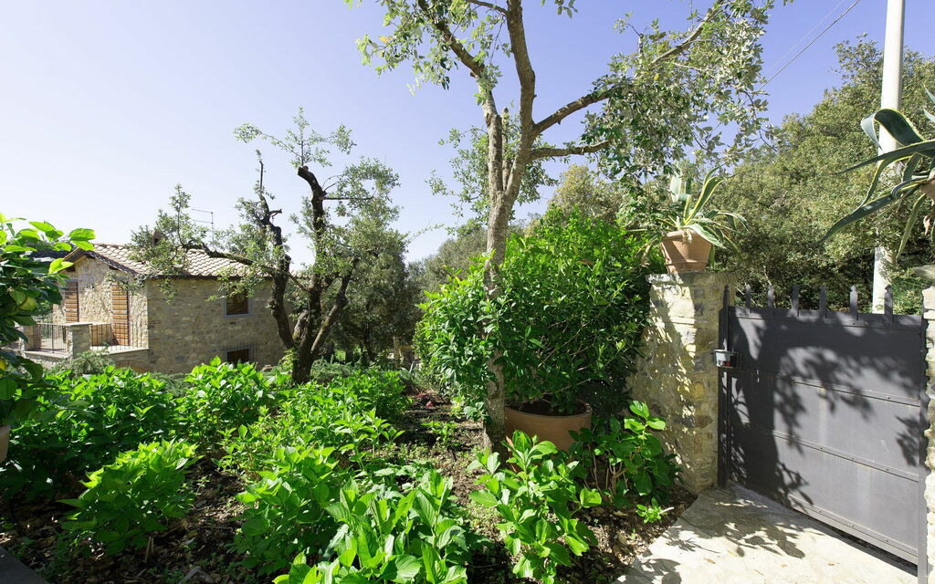 Villa Nova: all'aperto, Esterni