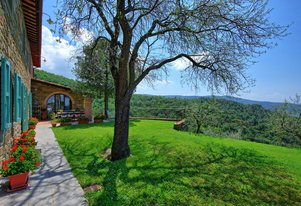 Villa Noceta: Garden, Outdoor