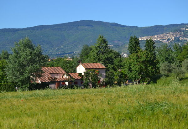 Casa Laura: Взгляды