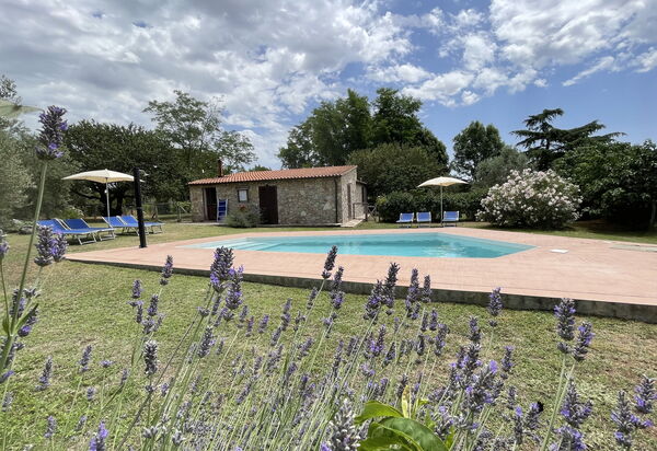 Funghi 1: бассейн, Открытый, Сад, Экстерьеры