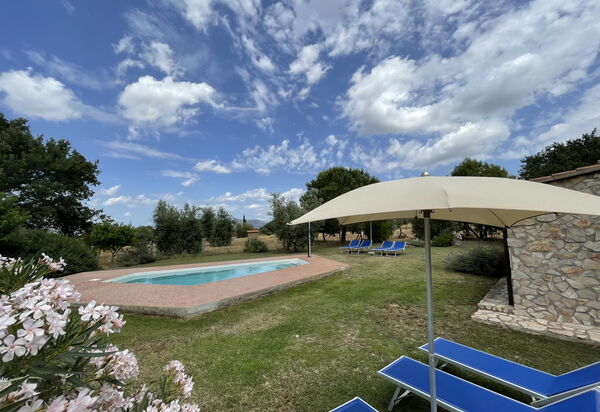 Funghi 1: бассейн, Открытый, Сад, Экстерьеры