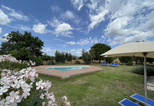 Funghi 1: бассейн, Открытый, Сад, Экстерьеры