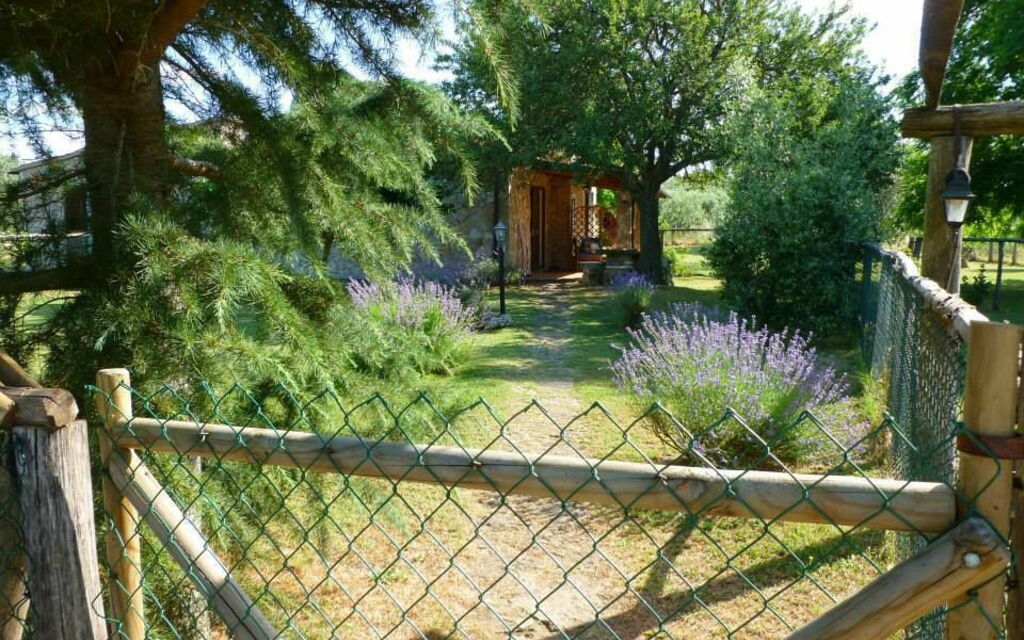 Funghi 1: Garden