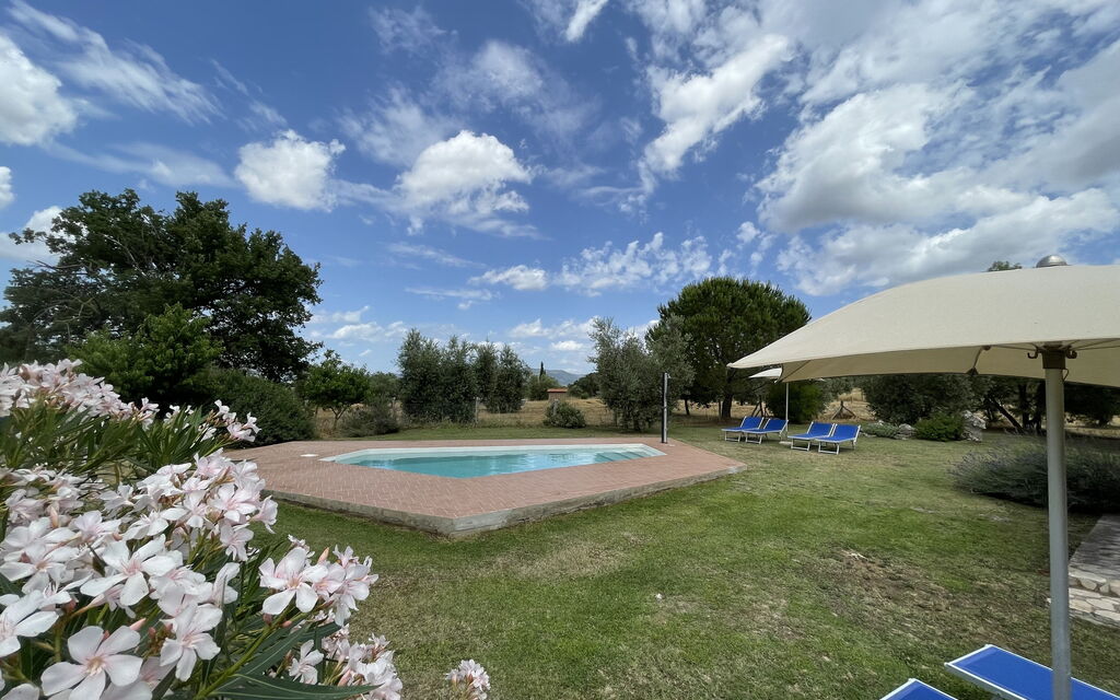 Funghi 1: Building Exterior, Garden, Outdoor, Pool
