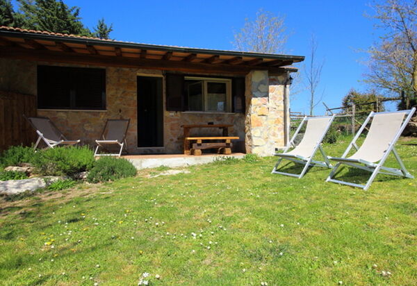 Funghi 2: Открытый