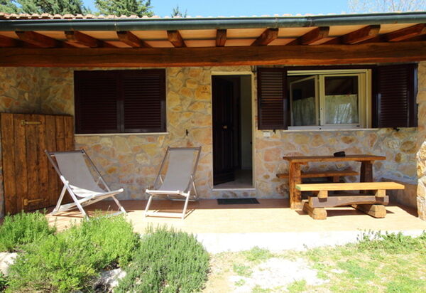 Funghi 2: Открытый