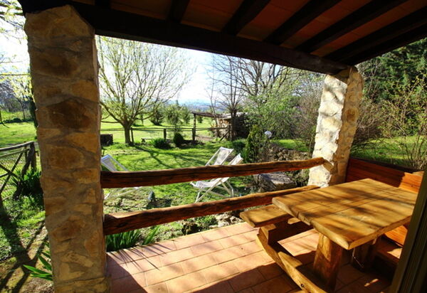 Funghi 2: Открытый