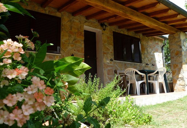 Funghi 2: Открытый