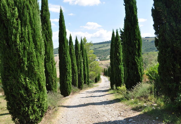 Le Querce Di Campocane: Außen