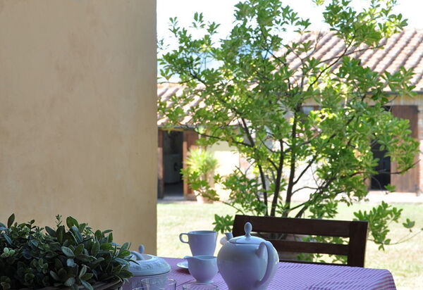 Le Querce Di Campocane: Draussen