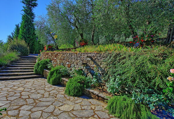 Villa Montalcino: Garden