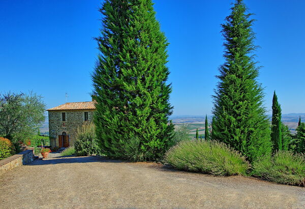 Villa Montalcino: Garden