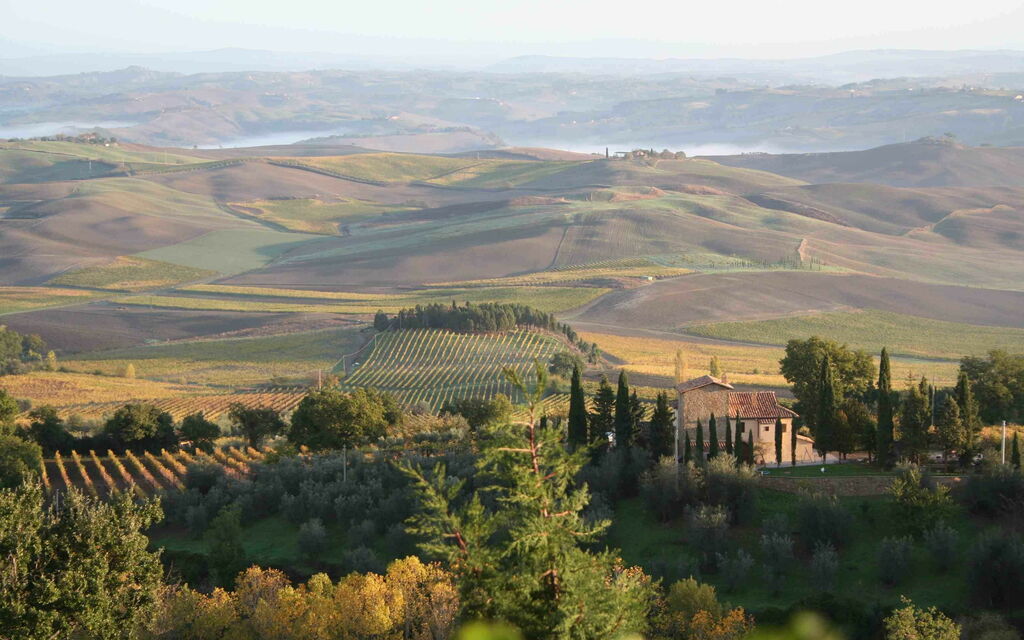 Villa Montalcino: Scenic View