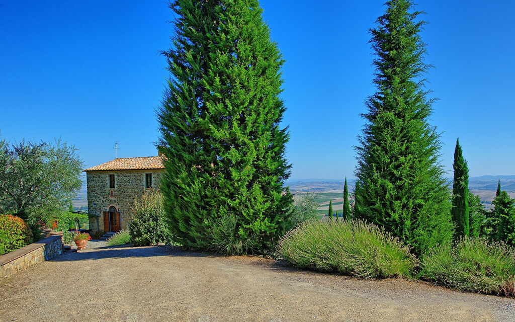 Villa Montalcino: Garden