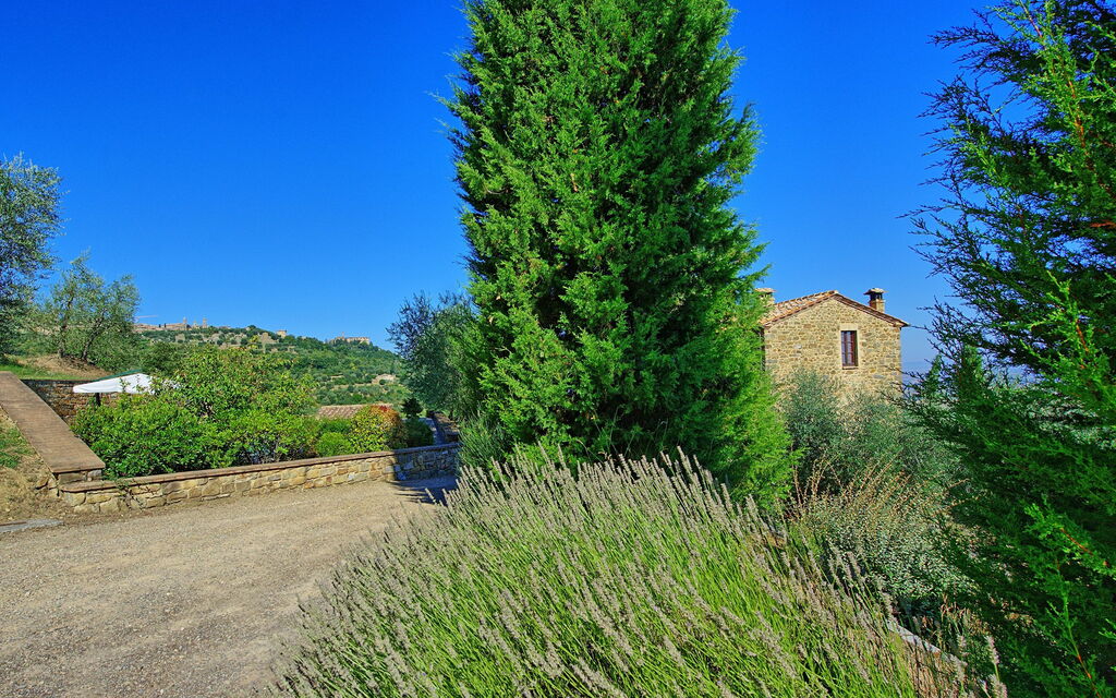 Villa Montalcino: Garden