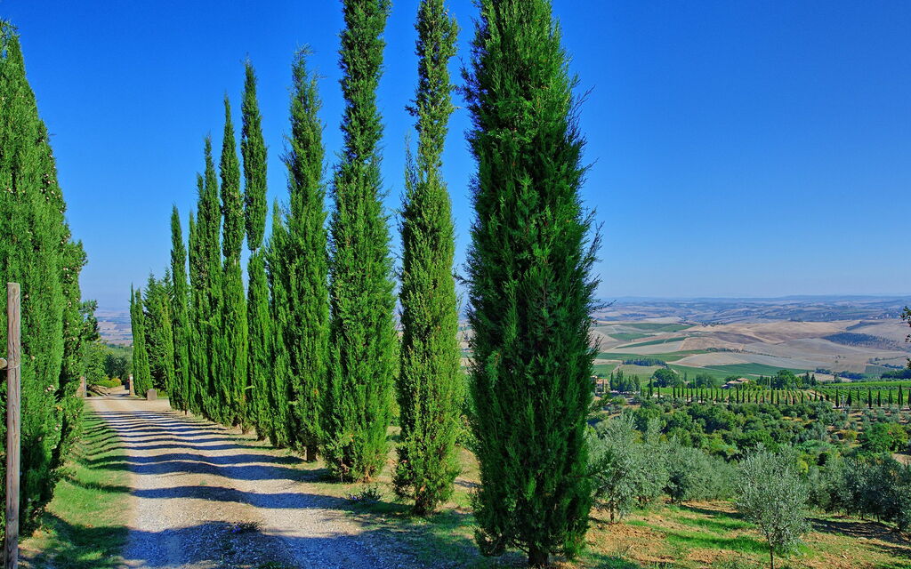 Villa Montalcino: Scenic View