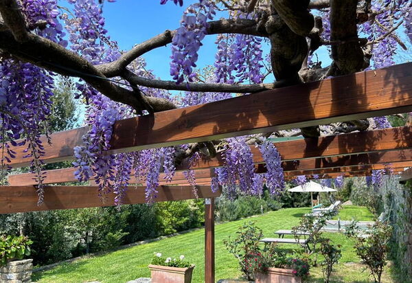 Antico Casale: Außen, Balkon / Terrasse / Patio, Draussen