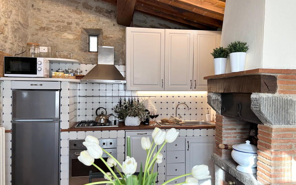 Antico Casale: Kitchen