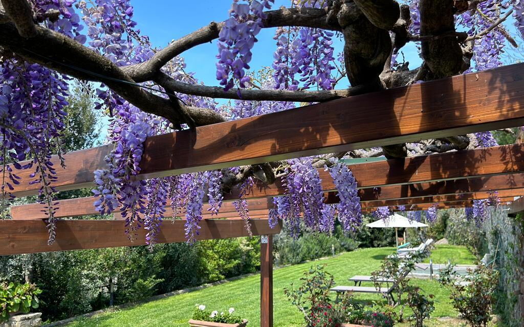 Antico Casale: Balcony / Terrace / Patio, Building Exterior, Outdoor