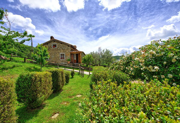 Villa Margherita Due: Draussen, Garten