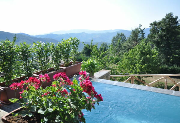 Villa Margherita Tre: Schwimmbad