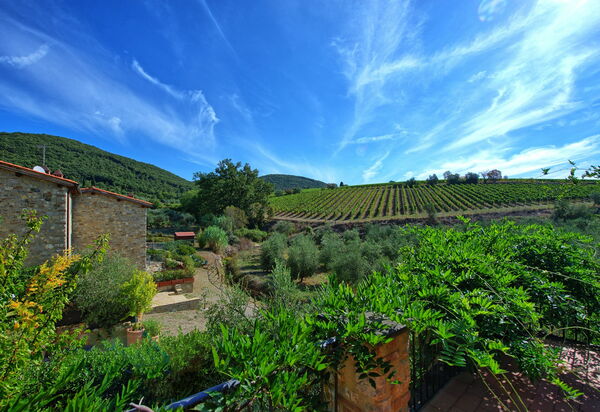 Casa Maria Luisa: Взгляды